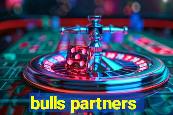 bulls partners